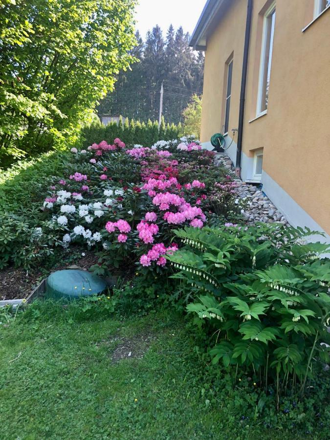 Apartamento Am Wildbach Bei Passau Saming Exterior foto